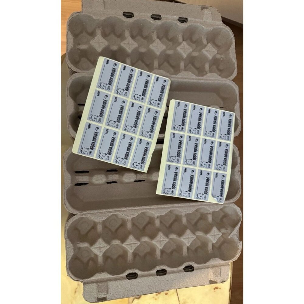 48 New LOVEINUSA Cardboard Egg Storage Cartons with Sticker Egg Labels